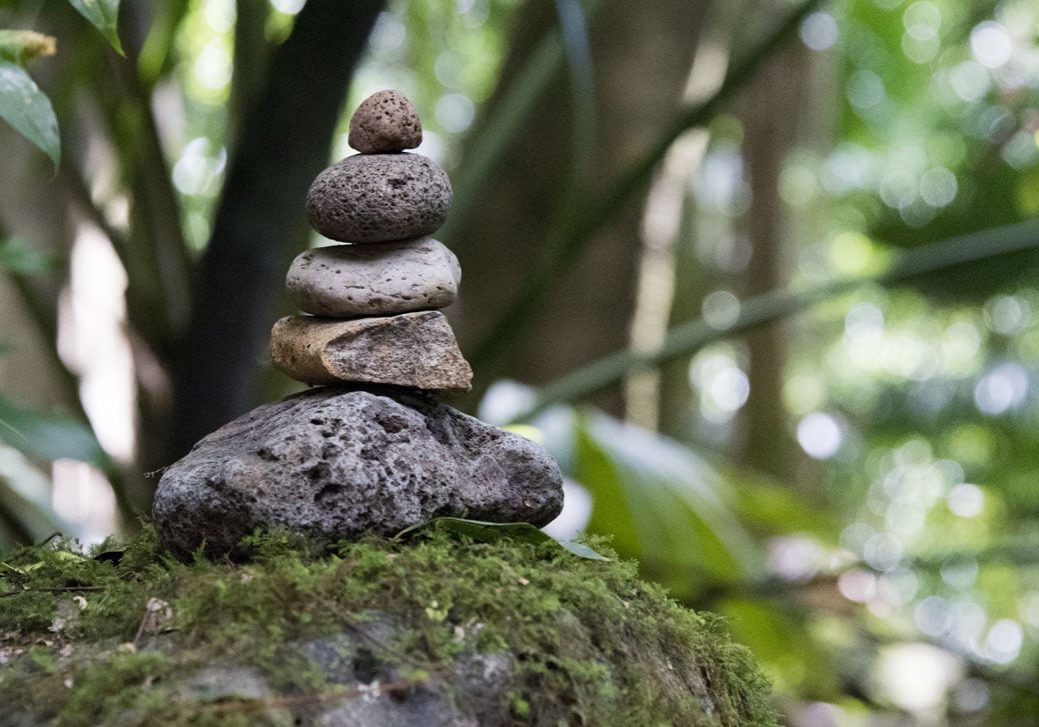 Analyse Réincarnation